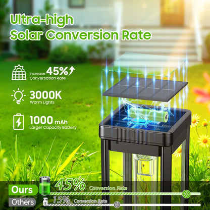 Solar Pathway Lights for Driveways and Walkways