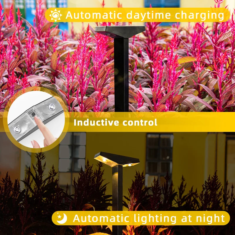 Solar Ground Lights for Garden and Pathway Decor