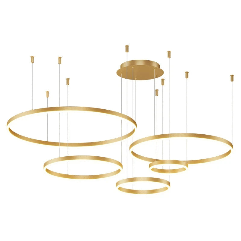 Modern Circular Ring LED Chandelier Living Room Ceiling Light