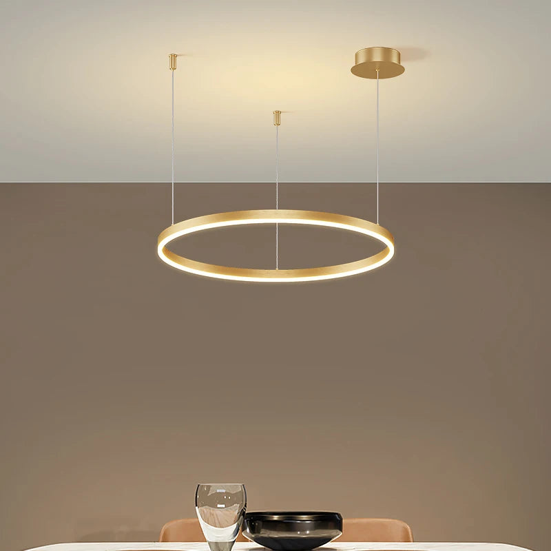 Modern Circular Ring LED Chandelier Living Room Ceiling Light