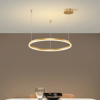 Modern Circular Ring LED Chandelier Living Room Ceiling Light