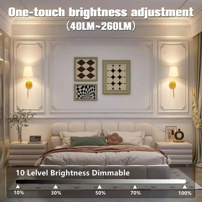 Wireless Rechargeable Wall Lamp Dimmable Remote LED Light