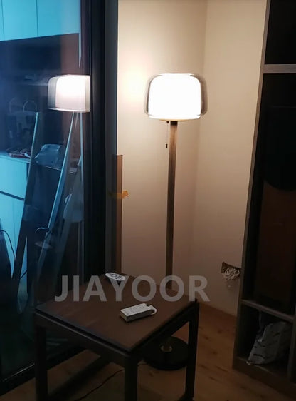 Modern Glass Floor Lamp – Elegant Decorative Lighting for Living Room