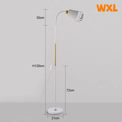 Adjustable LED Floor Lamp – Minimalist Iron Standing Reading Light