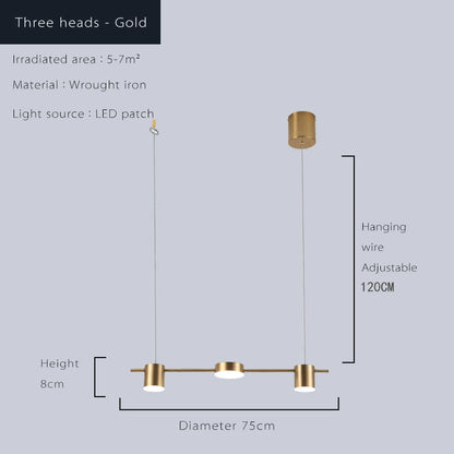 Modern LED Living Room Chandelier Dimmable Dining Kitchen Light