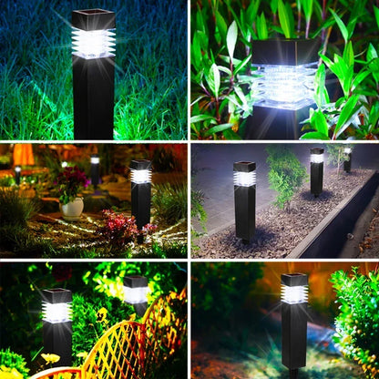 Solar LED Pathway Lights for Gardens and Walkways