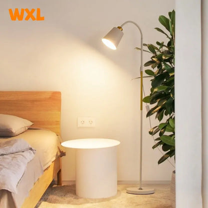 Adjustable LED Floor Lamp – Minimalist Iron Standing Reading Light