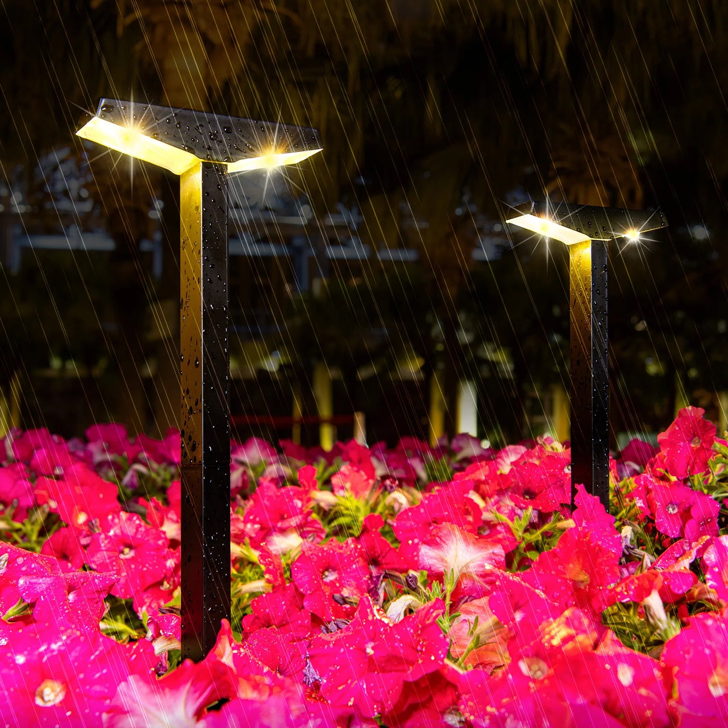 Solar Ground Lights for Garden and Pathway Decor