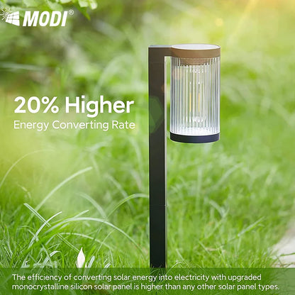 Solar Spike Path Lights with Warm LED Glow