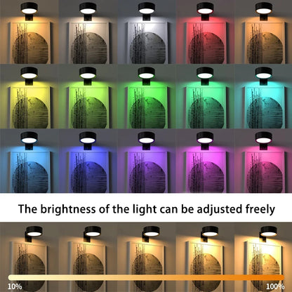 Wireless Magnetic Picture Light with Remote Control