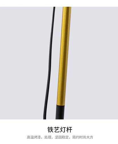 Adjustable LED Floor Lamp – Minimalist Iron Standing Reading Light